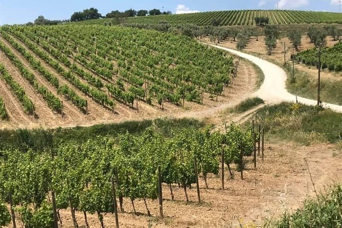 Small group Chianti-side wine tour with Mercedes V class Van - Stop Two: Castello di Gabbiano and Its Castle-Style Wine Setting