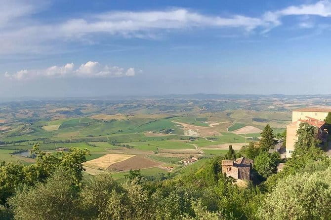 Small group Chianti-side wine tour with Mercedes V class Van - Five Hours in Chianti: Timing That Doesn’t Drag