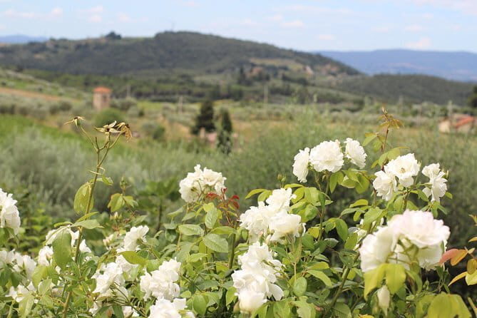 SMALL GROUP Chianti Tradition wine tour (max 8 pp) - Key things that make this Chianti Tradition tour worth your time