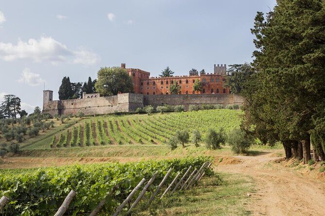 Small-Group Chianti Trip with Wine Tasting from Siena - Key highlights you should care about