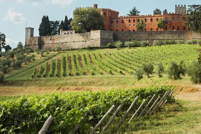 Small-Group Chianti Trip with Wine Tasting from Siena - Vertine or Gaiole in Chianti: short medieval wandering with a purpose