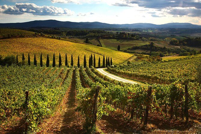 Small-Group Chianti Trip with Wine Tasting from Siena - Castello di Ama: lunch and wine tasting without the pay-up-later feeling