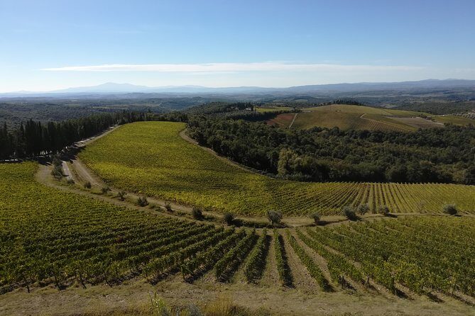Small-Group Chianti Trip with Wine Tasting from Siena - Wine tastings: how to set expectations (and order smart)