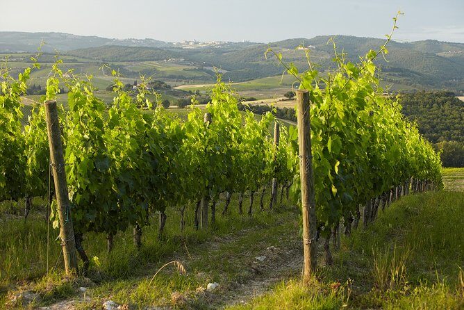 Small-Group Chianti Trip with Wine Tasting from Siena - Timing, comfort, and one helpful packing tip
