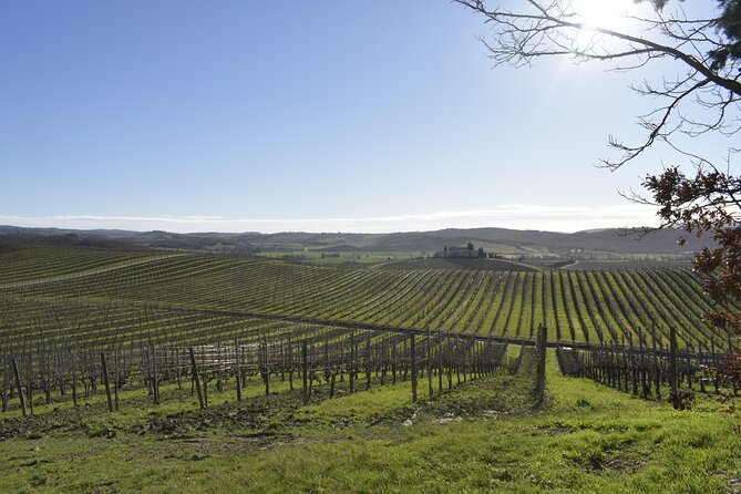 Small Group E-Bike Chianti Tour with farm lunch from Siena - Why an E-Bike Chianti Day Feels Like the Smart Way to Do Tuscany