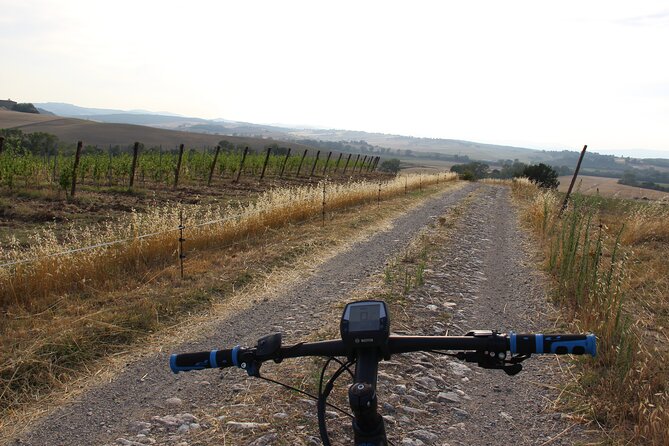 Small Group E-Bike Chianti Tour with farm lunch from Siena - The 20km Morning Ride: Vineyards, Olive Groves, Forest Shade, and Quiet Roads