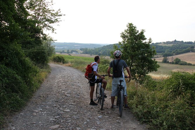 Small Group E-Bike Chianti Tour with farm lunch from Siena - The Farm Lunch Stop: Extra-Virgin Olive Oil, Local Wine, and a Real Meal