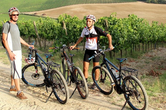 Small Group E-Bike Chianti Tour with farm lunch from Siena - Value at $216.25: What You Get for the Money (and Why It’s Not Just a Bike Rental)