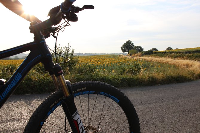 Small Group E-Bike Chianti Tour with farm lunch from Siena - Monteriggioni: A 13th-Century Fortress Town in Just 30 Minutes