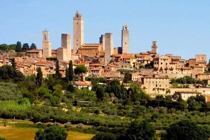 Small group San Gimignano, Tuscany & Pisa from Florence - Inside Duomo di Pisa: what the included ticket gets you