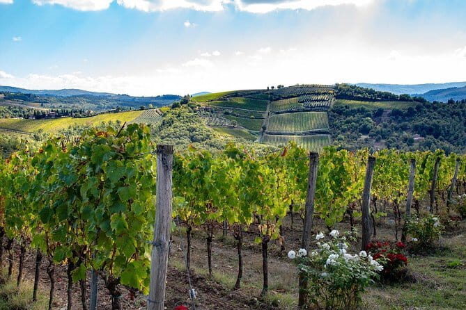 SMALL-GROUP Wine Safaris: Tuscan Wine Tasting Tours from Florence - Why This Florence Wine Safari Feels Different From Typical Tastings