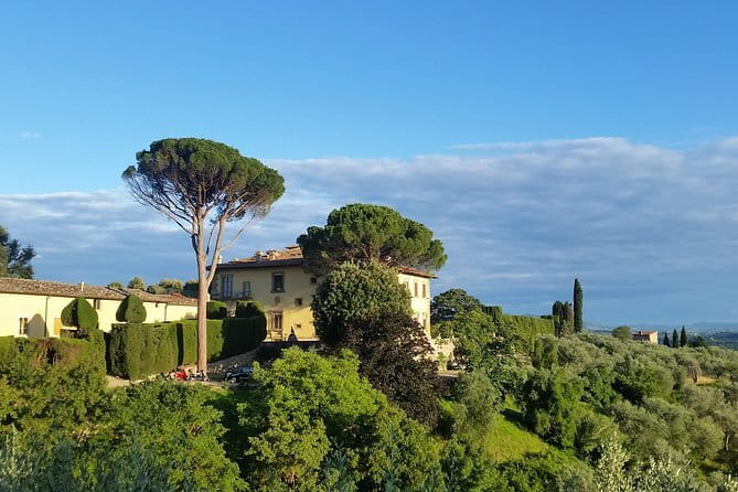Small Group Wine Tasting in Tuscany with Vineyard Visit - Weather and day changes: why you should keep your afternoon flexible