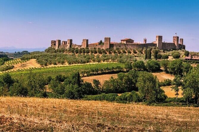 Special Chianti Afternoon Wine Tour from Florence - The Panoramic Viewpoint Stop: When to Look, When to Shoot