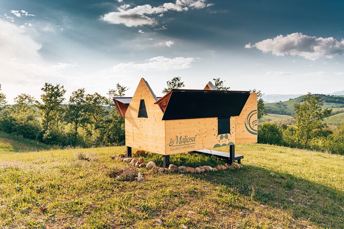 Stellar PicNic: Delight at sunset in the Tuscan countryside - Key things to know before you go