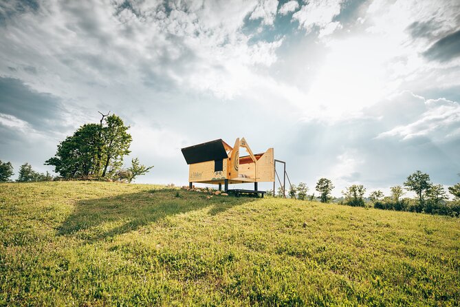 Stellar PicNic: Delight at sunset in the Tuscan countryside - Arriving at Fattoria La Maliosa and your 4:00 pm kickoff