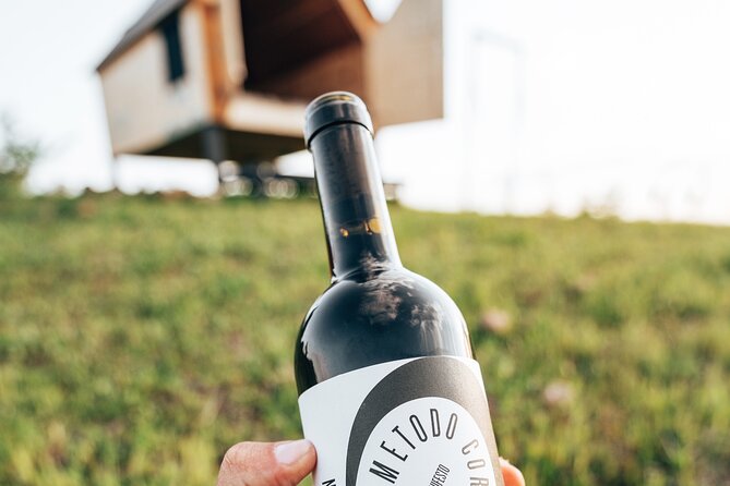 Stellar PicNic: Delight at sunset in the Tuscan countryside - Special stargazing: San Lorenzo nights and that wide sky feeling