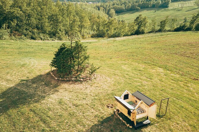 Stellar PicNic: Delight at sunset in the Tuscan countryside - Price and value: what $104 buys you in this rural setting