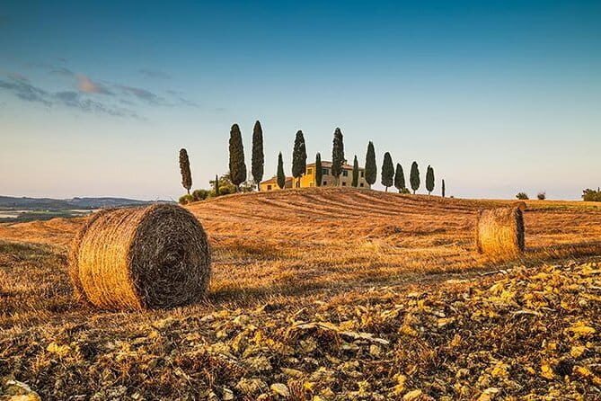 Sunset semi private Chianti Tuscany Wine Tasting Tour from Florence - Greve in Chianti: the village stop that actually feels like Italy