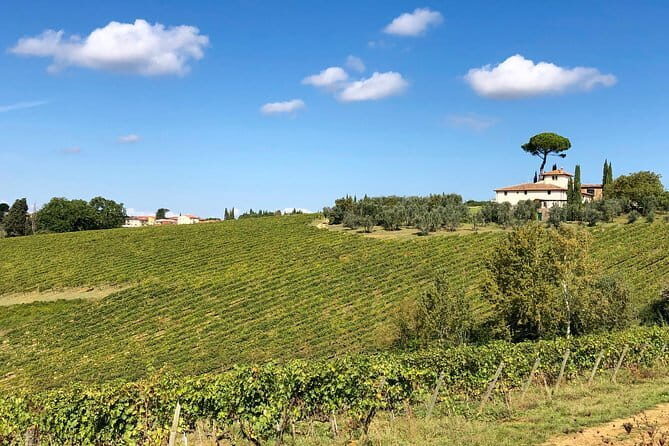 Sunset VIP Chianti wine tour - A small-group Chianti sunset from Florence