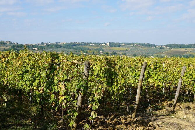 Super Chianti 2 wineries & meat feast @ Dario Cecchini—max 8 pp - The Grape Tours Start: Where You Get Set Up