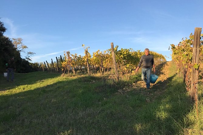Super Tuscan & IGT wines, Evo Oil & Balsamic Vinegar Tasting - Views and atmosphere: why it feels special without overdoing it