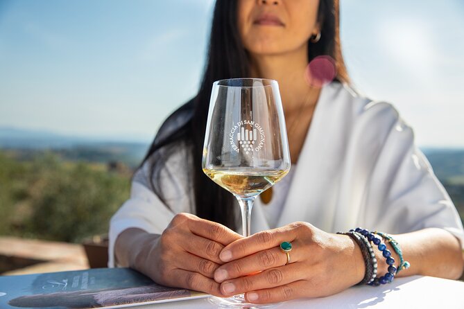 Superior Wine Tasting in San Gimignano - La Rocca setting: comfortable room, panoramic mood, easy wrap-up