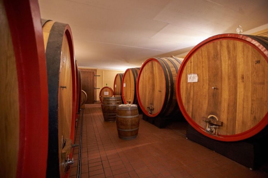 Tasting and Tour Vino Nobile di Montepulciano - Cellar tour basics: oak barrels and fermentation tanks explained