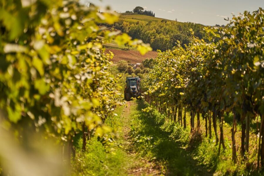 Tasting and Tour Vino Nobile di Montepulciano - Vineyards first: the sustainable farming talk that makes the wines make sense