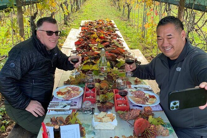Tasting in a Tuscan Vineyard with transfer from Lucca - From Lucca to the vines: the timing that makes this work