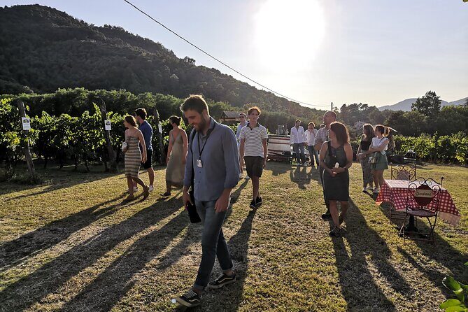 Tasting in a Tuscan Vineyard with transfer from Lucca - Cellar tour first, then tasting: how to make the wine make sense
