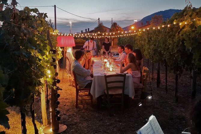 Tasting in a Tuscan Vineyard with transfer from Lucca - The winery visit: what small production looks like in real life