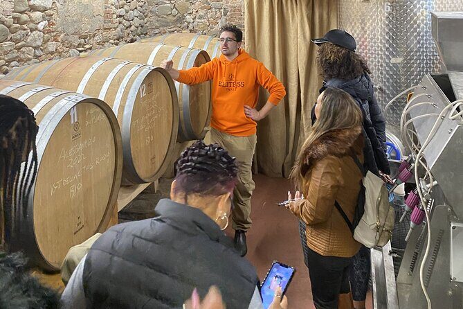 Tasting in a Tuscan Vineyard with transfer from Pisa - Tuscany by 3:30 PM: The Smart Timing Advantage