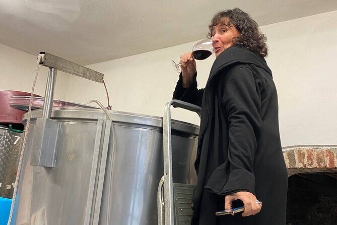 Tasting in a Tuscan Vineyard with transfer from Pisa - Price and Value: Is $107.23 Worth It?