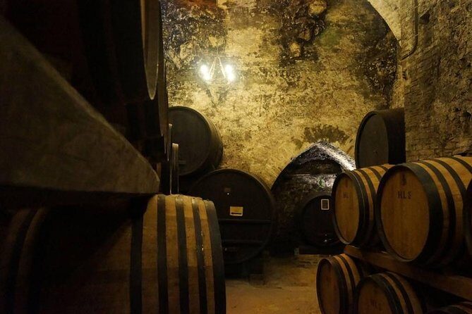 Tasting Tour in One of The Most Beautiful Cellars in the World - Key Highlights You Should Not Miss