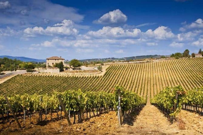The Complete Wine Tour Brunello, Nobile, Chianti wine experience - Montalcino for Brunello: castle views and real town wandering