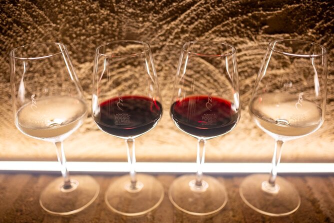 The Countess’s Lunch: Wine Tasting Paired with Signature Cuisine - A Tuscan winemaker’s lunch at Agricola Poggio ai Laghi