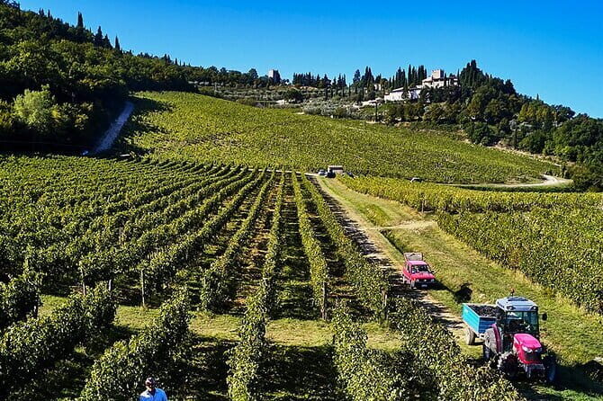 The Essence of Tuscany: Private Journey & Estate Winery Lunch - Why This Private Chianti Day Feels Like a Reset From Florence