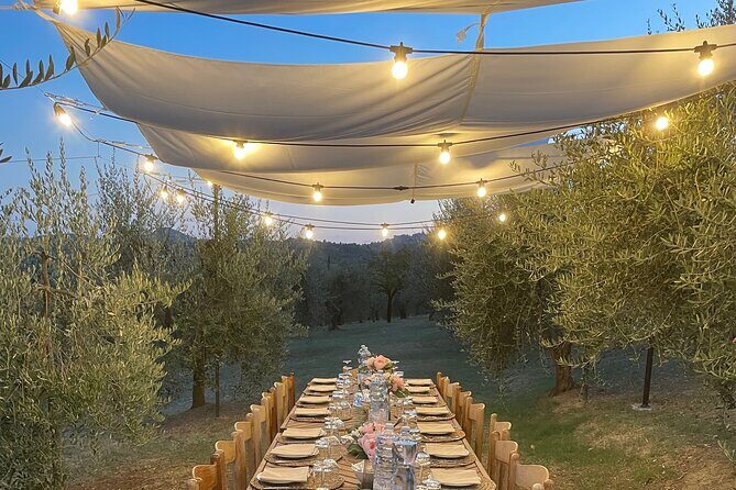 Think of a romantic meal in the Olive Trees shade, accompanied by Tuscan wines! - Olive Trees at Agriturismo Sanguineto: the setting that changes your mood