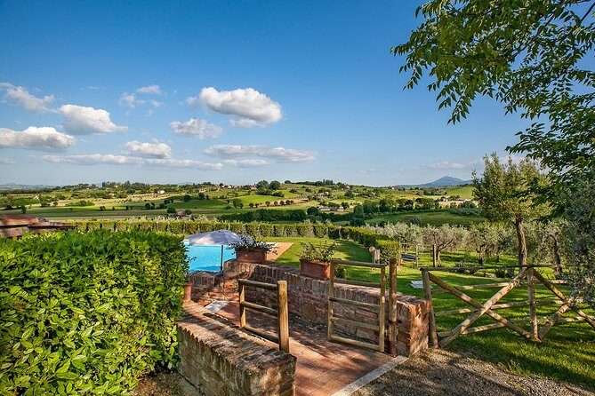 Think of a romantic meal in the Olive Trees shade, accompanied by Tuscan wines! - When romance meets logistics: pacing, crowds, and service style