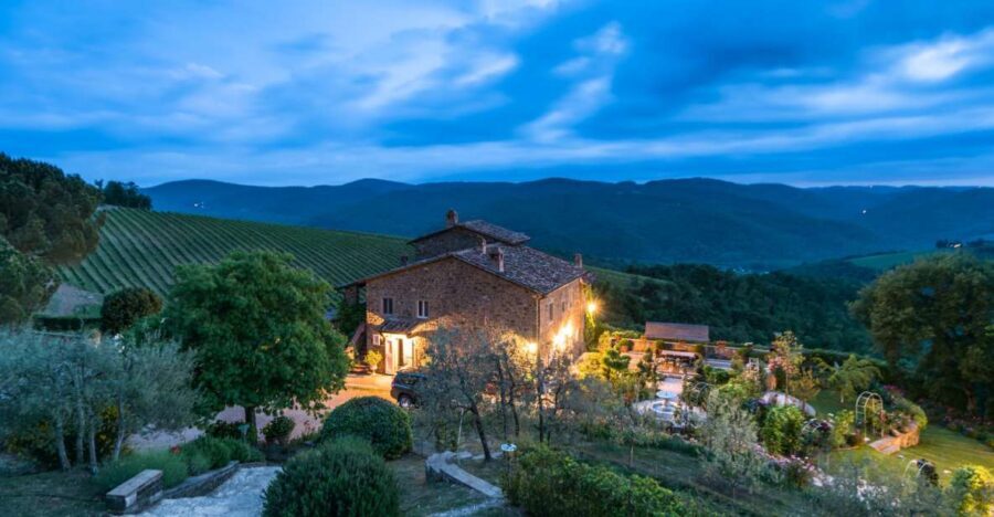 Total Immersion Wine Tour in Chianti - Key highlights you’ll actually feel during the tour
