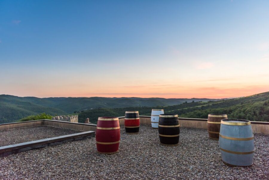 Total Immersion Wine Tour in Chianti - Price and value: why $47 can be fair for what you get