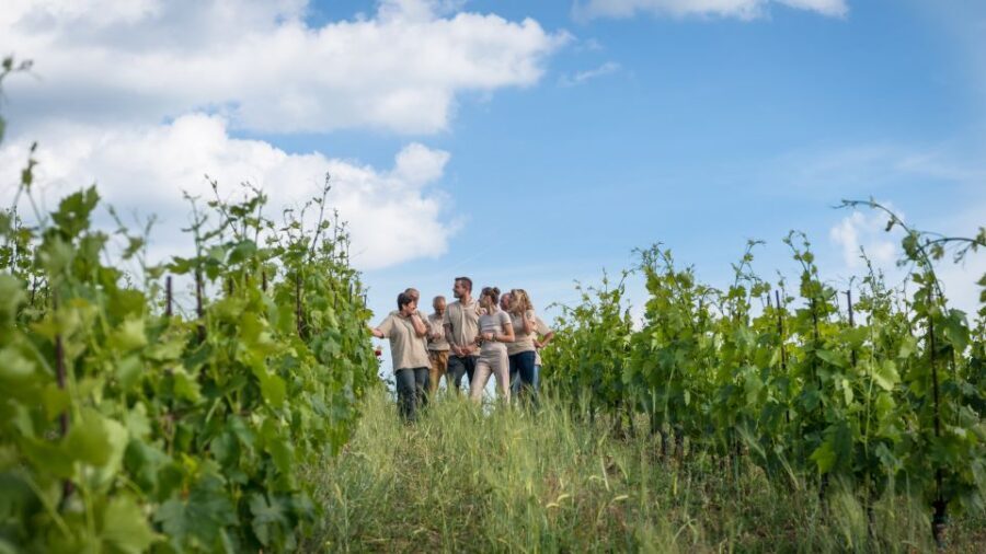 Total Immersion Wine Tour in Chianti - The mini tasting course: smell, taste, and serve with confidence