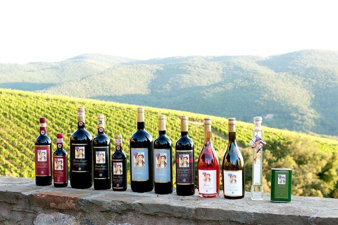 Tour and Tasting at an Organic Winery in the Heart of Chianti Classico Area - Key takeaways before you go