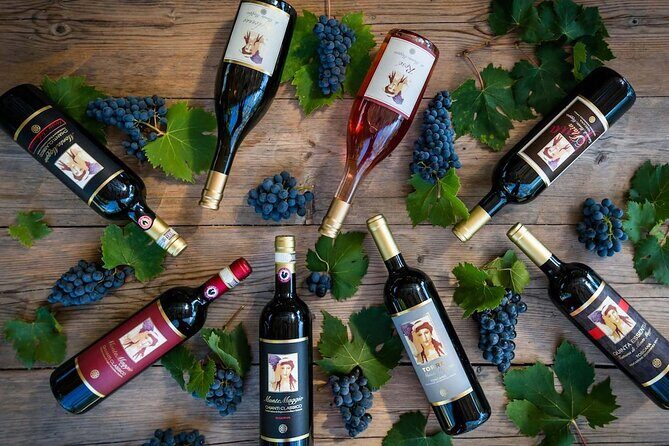 Tour and Tasting at an Organic Winery in the Heart of Chianti Classico Area - Who should book this tour (and who might want to rethink it)