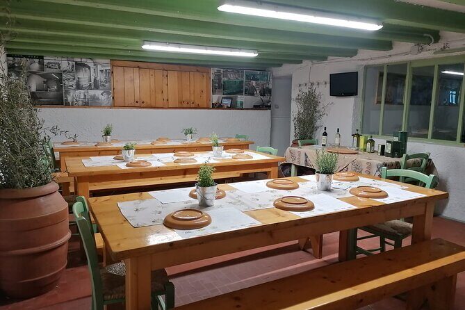 TOUR and TICKETS, VISIT TO THE MILL AND EVO OIL TASTING - Getting Oriented at Frantoio Tistarelli in Sarteano