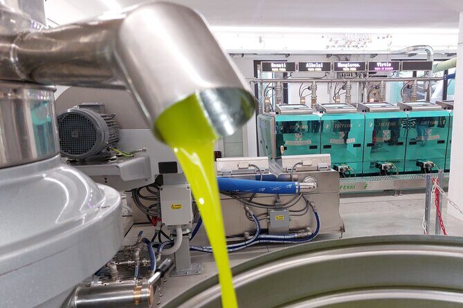 TOUR and TICKETS, VISIT TO THE MILL AND EVO OIL TASTING - The Oil Mill Visit: Harvest to Press, Traditional and Modern