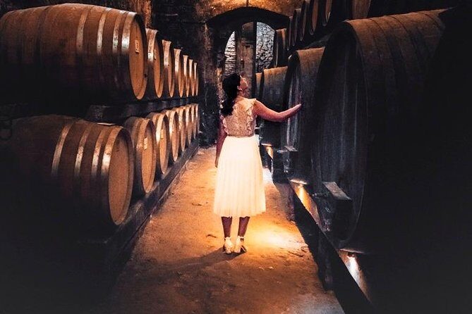 Tour of the historical cellars in Montepulciano - Entering Two Historic Cellars: Tuff Tunnels, Brick Vaults, and Giant Barrels