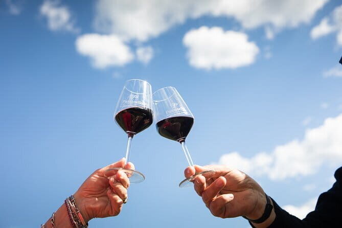 Triumph of Flavors, Winery Tour, Organic Wines in Panzano in Chianti - Key things I’d watch for