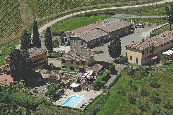 Triumph of Flavors, Winery Tour, Organic Wines in Panzano in Chianti - Organic wines in Chianti Classico: what you’re actually learning