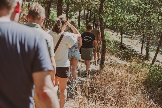Truffle Hunt in Tuscany - Weather, Timing, and Comfort: Keep It Easy